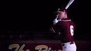 PRCCAthletics wildcats mississippi juco prcc GIF