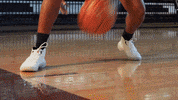 Pearl River Basketball GIF by Pearl River Athletics