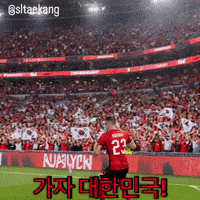 sltaekang football soccer world cup fifa world cup GIF