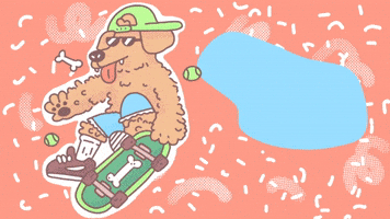 Skateboarding Day