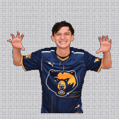 Super Smash Bros Esports Sticker by WVU Tech Golden Bears
