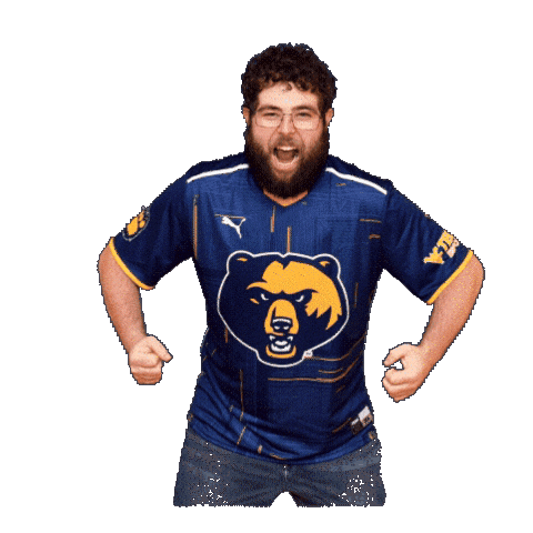 Super Smash Bros Esports Sticker by WVU Tech Golden Bears