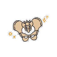 Studygramwithferlibretas kinesiologia kine studygramwithfer Sticker