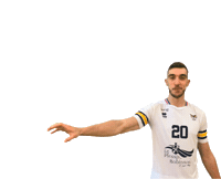 Prvball volleyball catch henry prvb Sticker
