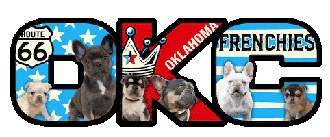 French Bulldog Sticker by OKC Frenchies