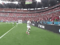 Euro 2020 Football GIF
