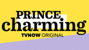 Prince Charming Logo GIF by RTLde
