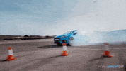 GIF by Okkult Motion Pictures