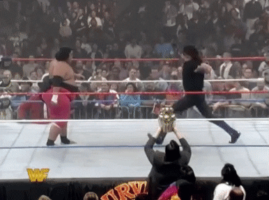 The Undertaker Sport GIF by WWE
