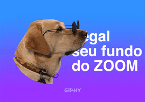 Legal Seu Fundo Do Zoom GIF by GIPHY Cares