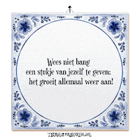 Wijsheid Spreuk Sticker by Tegelspreuken.nl
