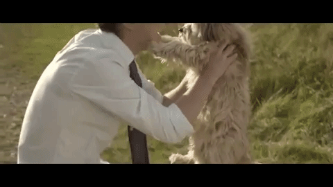 music video GIF