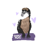 Vegan Cashew Sticker by Simplynuts