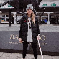 University Of Louisville Sport GIF by Louisville Cardinals