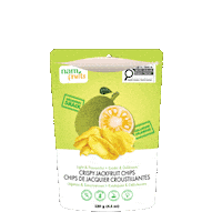 Dried Fruit Jackfruit Sticker by Nam Fruits