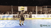Ice Hockey Dancing GIF by NHL