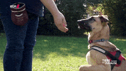 high five tsez GIF by WDR