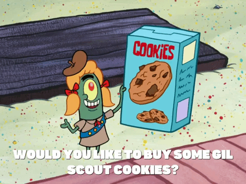 season 8 episode 6 GIF by SpongeBob SquarePants