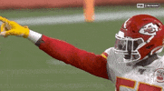 Regular Season Football GIF by NFL
