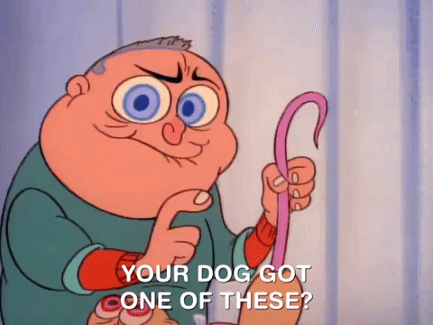 nicksplat ren and timpy GIF