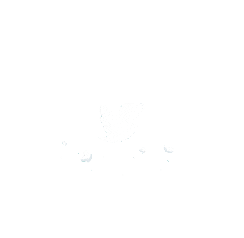 Twitter Follow Sticker by Ideals Interactive Agency