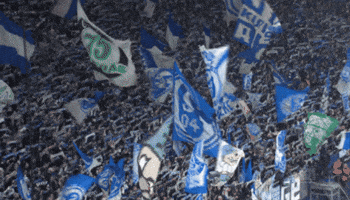 Football Soccer GIF by FC Schalke 04