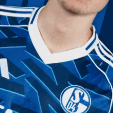 Football Soccer GIF by FC Schalke 04