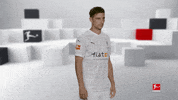 Posing Line Up GIF by Bundesliga