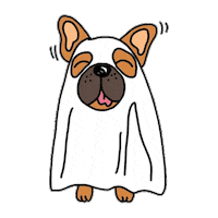 fun party Sticker by Ivo Adventures