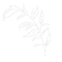 Alyandco Sticker