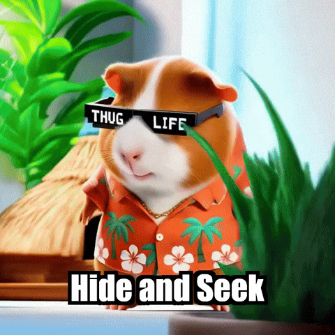 Playing Guinea Pig GIF by Guinea Gambino