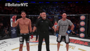 GIF by Bellator