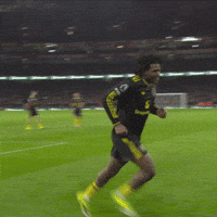 Celebration Goal GIF by Manchester United