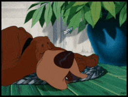 lady and the tramp disney g GIF