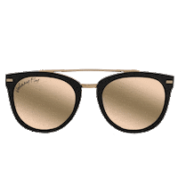 sun sunglasses Sticker by Johnny Fly