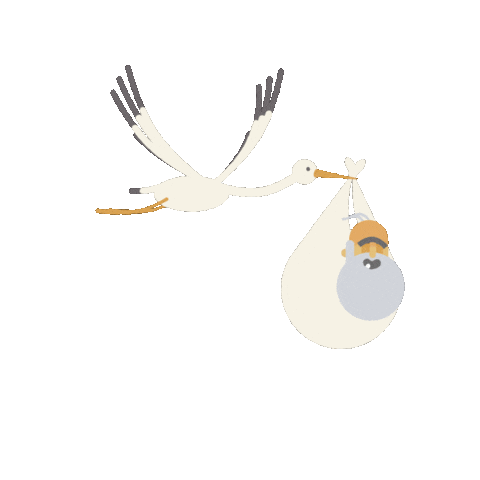 joselorensso giphyupload paris flying birth Sticker