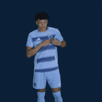 Major League Soccer Football GIF by Sporting KC