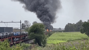 Freight Train Carrying Cars Bursts Into Flames