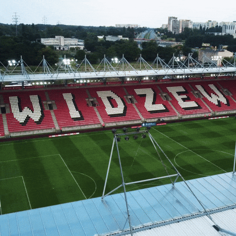 Football Rts GIF by Widzew Łódź