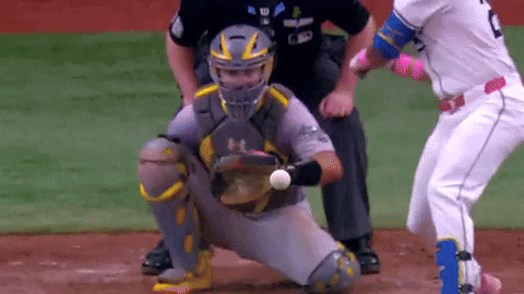 Admire Major League Baseball GIF by MLB