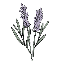 Flower Sticker by DilleKamille