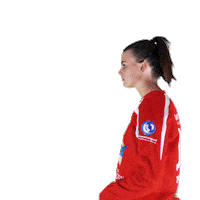 Handball Sticker by Westfriesland/SEW