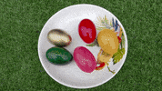 ExperimenMeatGrinder funny colorful meat eggs GIF
