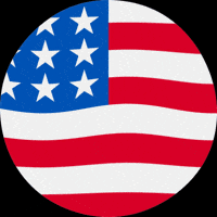 VoiceCrafters trump flag usa vote GIF
