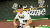 College Baseball Sanchez GIF by GreenWave