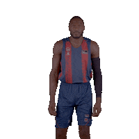 Celebrate Liga Endesa Sticker by ACB