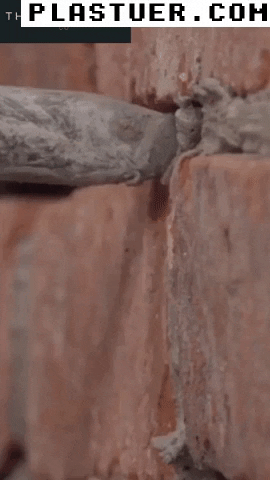giphyupload GIF