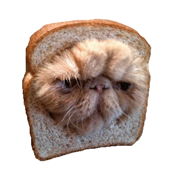 angry over it GIF by imoji