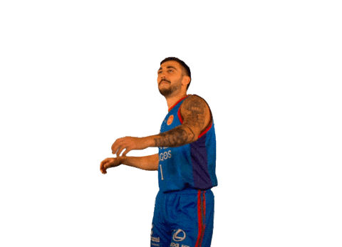 Didac Sticker by San Pablo Burgos