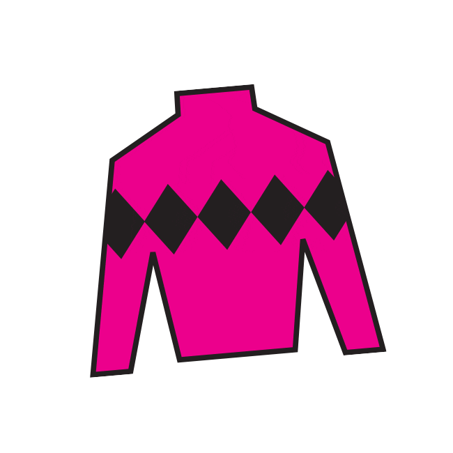 Sport Silk Sticker by Kentucky Derby